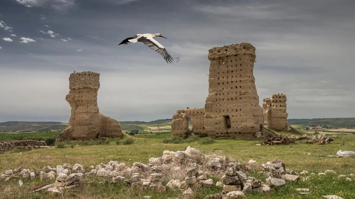Torres de tapial en ruinas en mitad del campo, con una cigüeña en vuelo